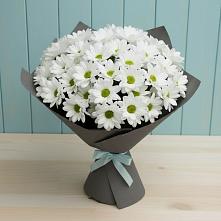 Букет цветов из:  Хризантемы #REPLACE_PRED# Нягани