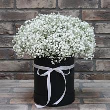 Цветочная композиция из Гипсофила в шляпной коробке в Нягани